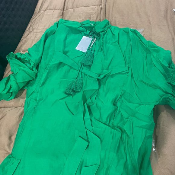 ON HOLD FOR @asharp7143 Green Flounced Dress - Picture 5 of 8